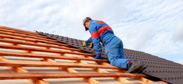 Roof Moss and Algae Removal in Montalvin Manor, CA